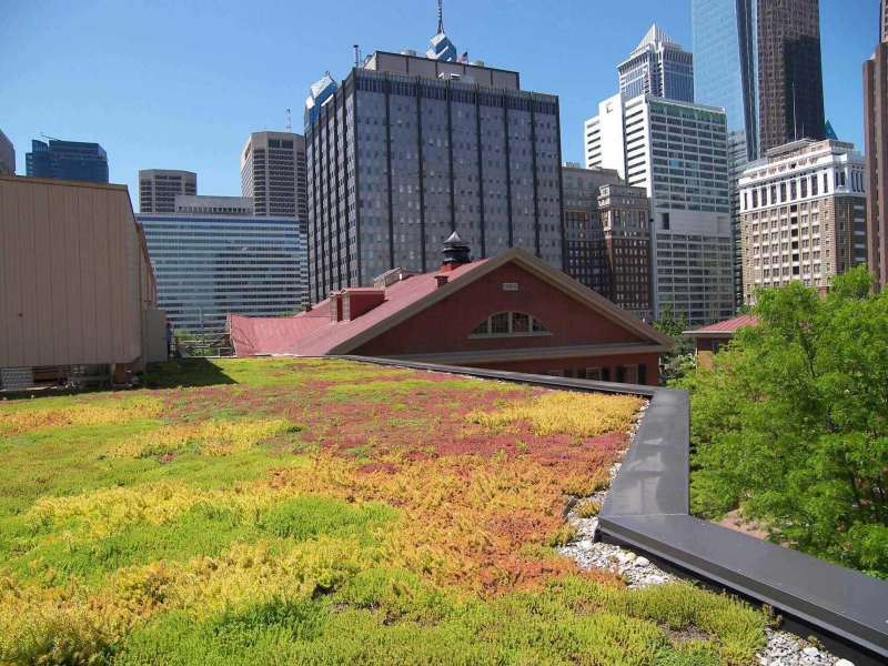 paysagiste-PEGOMAS-min_green-roof-portfolio-4